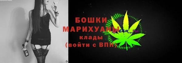 крисы Медвежьегорск