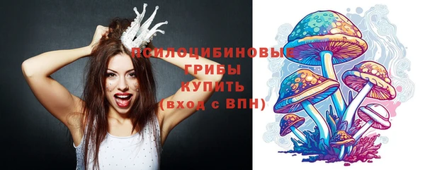метадон Алексин