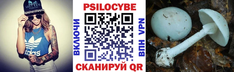 Псилоцибиновые грибы MAGIC MUSHROOMS  Купить  Мещовск 