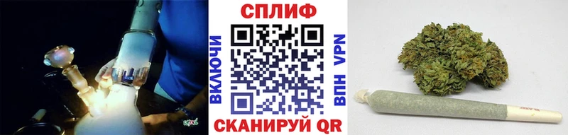 Купить где  Мещовск  Бошки марихуана план 